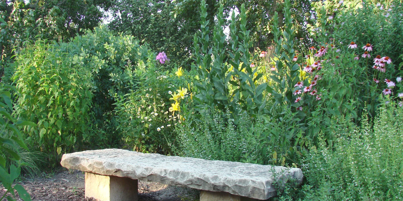 green garden